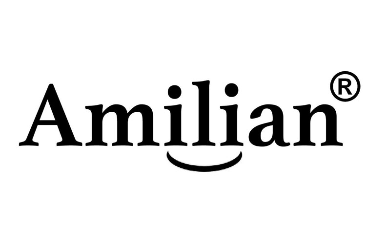 Amilian protège sommier test
